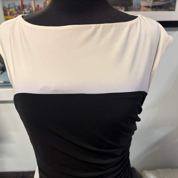 NWOT❤️Lauren Ralph Lauren Sheath Dress-Small - Picture 5 of 8